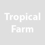 Tropical Farm Temp